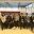 CLSG students at LSE MUN awards